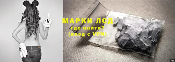 индика Пестово