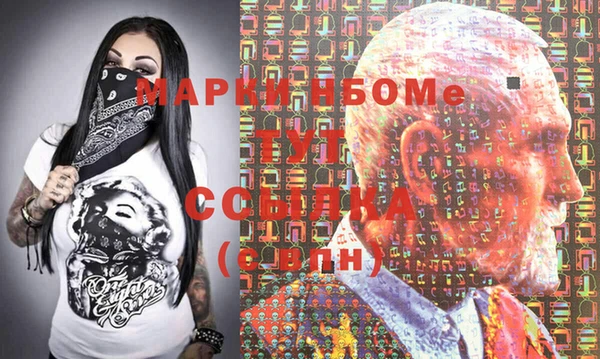 индика Пестово