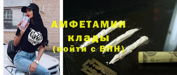 стаф Верея