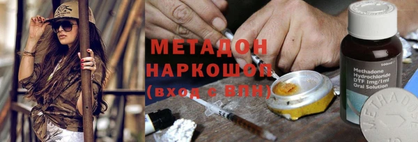 индика Пестово