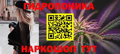 ешки Гусь-Хрустальный