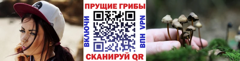 blacksprut зеркало  Старая Русса  Галлюциногенные грибы MAGIC MUSHROOMS 
