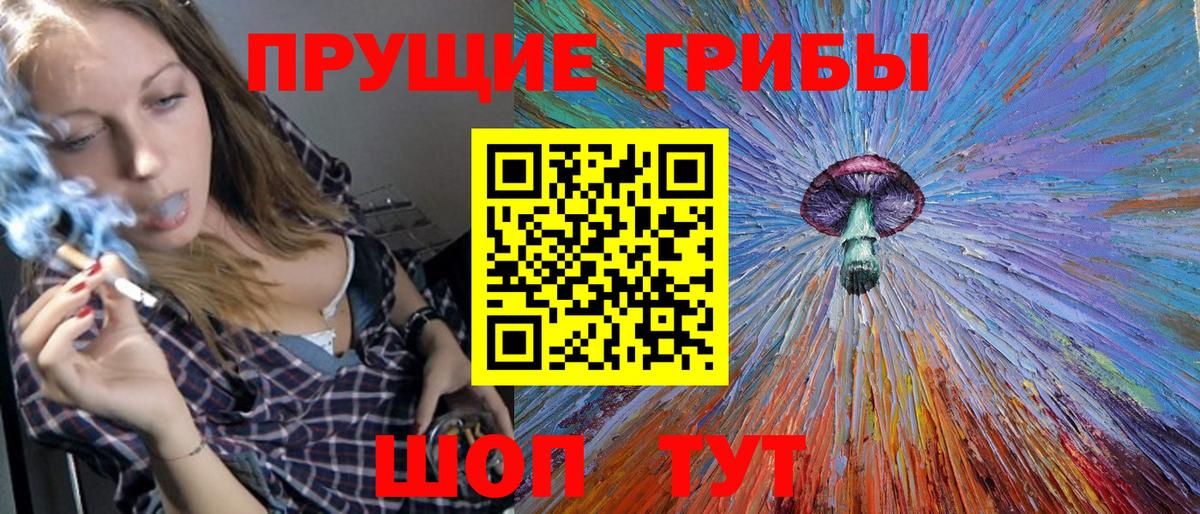 Псилоцибиновые грибы мицелий  где продают наркотики  Старая Русса 