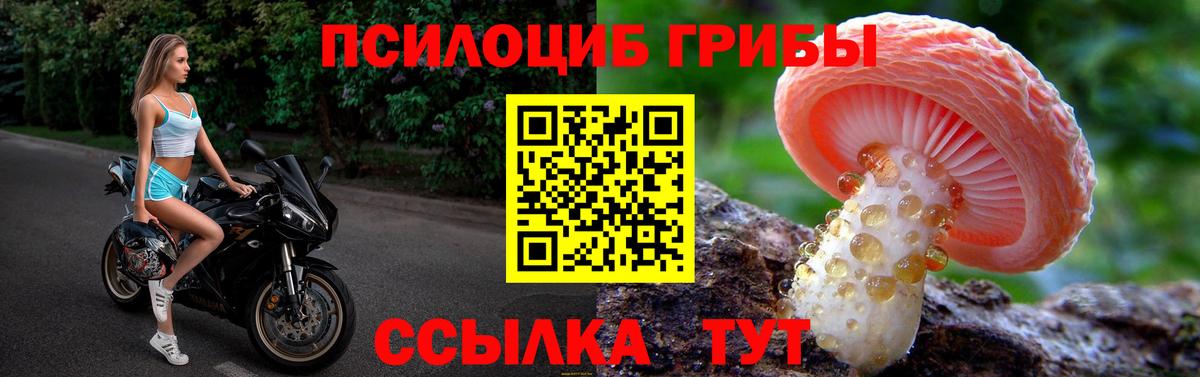 Галлюциногенные грибы Magic Shrooms  Вход с VPN  Старая Русса 
