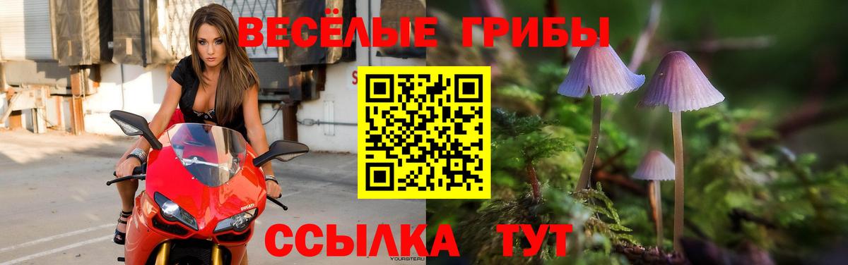 Галлюциногенные грибы прущие грибы Старая Русса